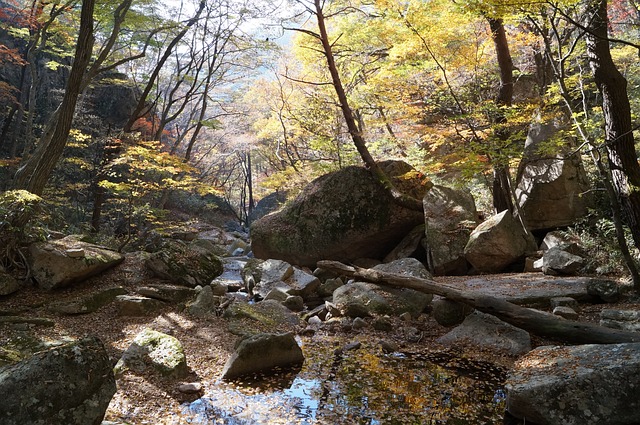속리산계곡