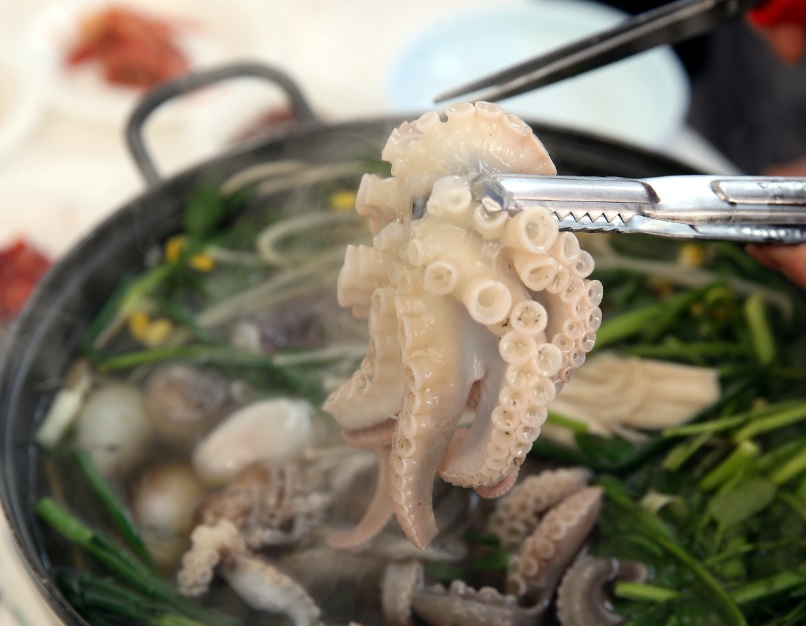 서천동백꽃 쭈꾸미축제&#44; 쭈꾸미 샤브샤브