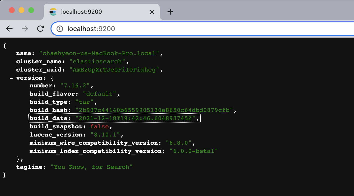 (4) - ElasticSearch 실행