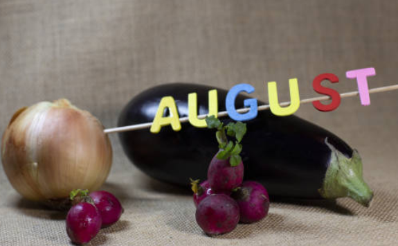 8월 제철음식