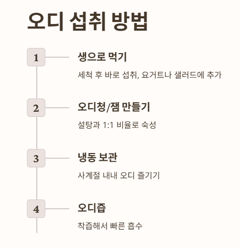 오디 먹는법