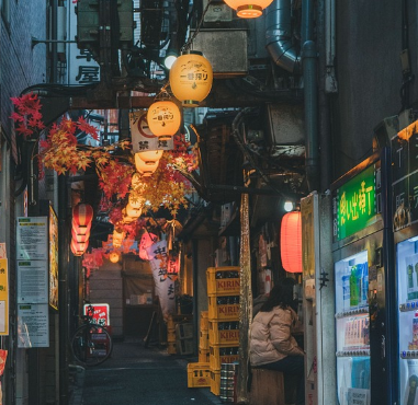 일본-입국-비지트-재팬