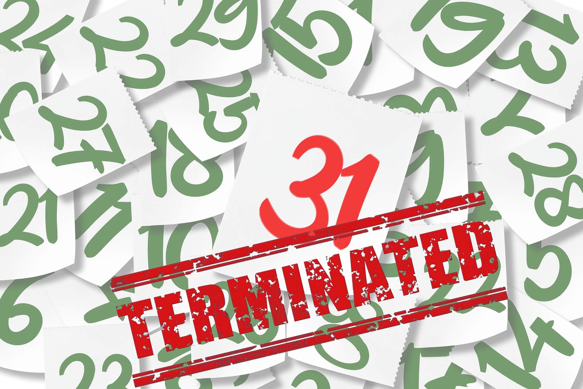 출시 초기 보증 조건(보증기간·약관 문구)이 남아 있는 제품의 희귀성