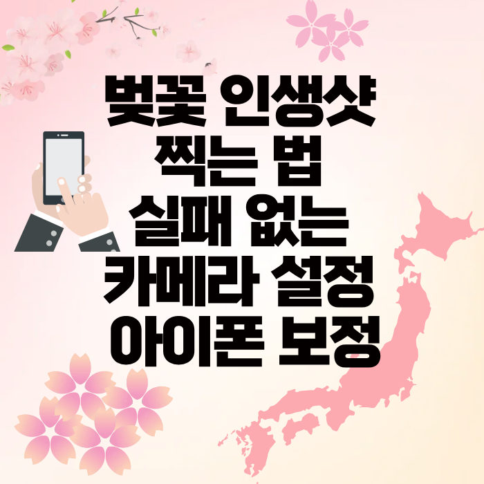 벚꽃 인생샷 찍는 법 실패 없는 카메라 설정 아이폰 보정