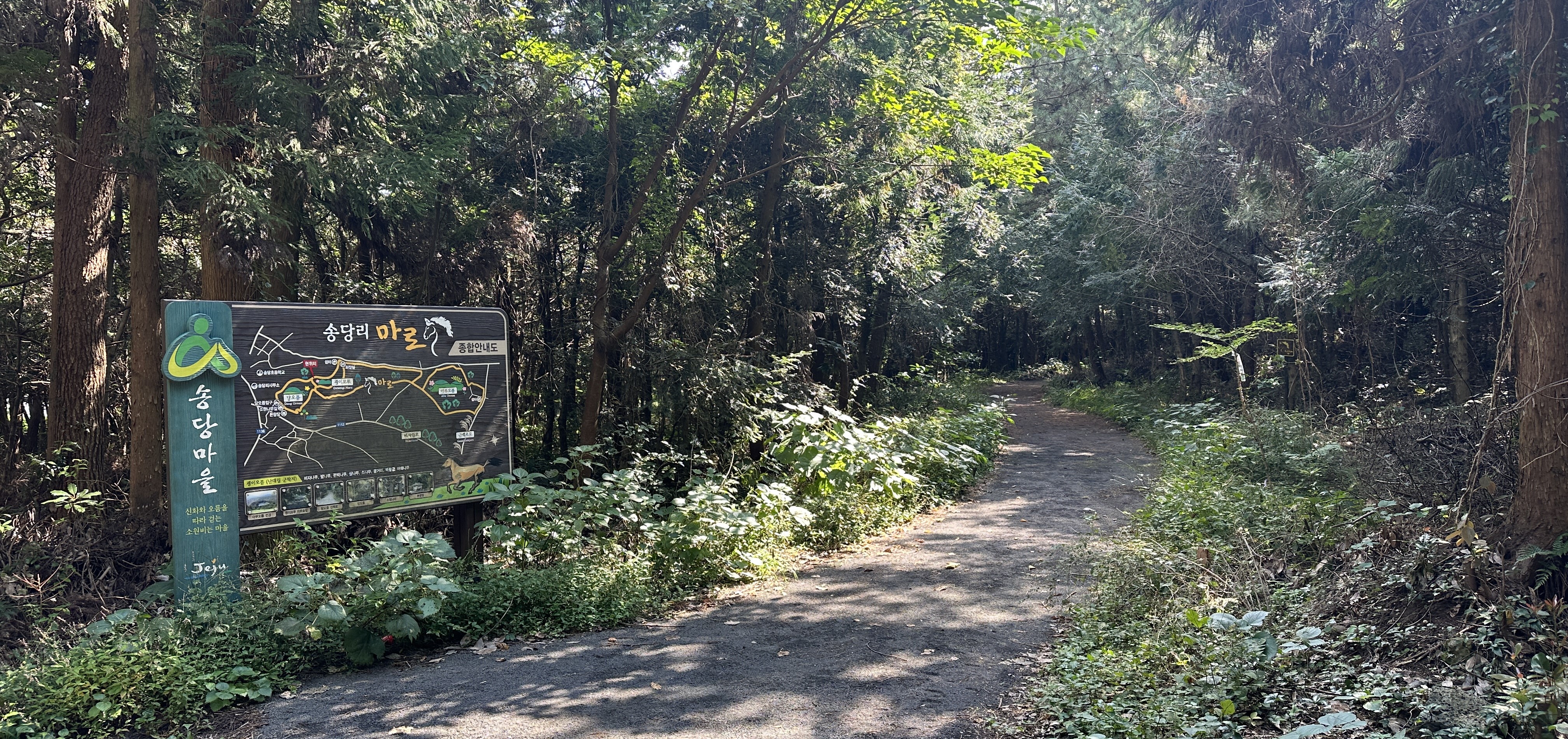 괭이모루 숲길 산책로