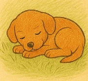 강아지 꿈해몽