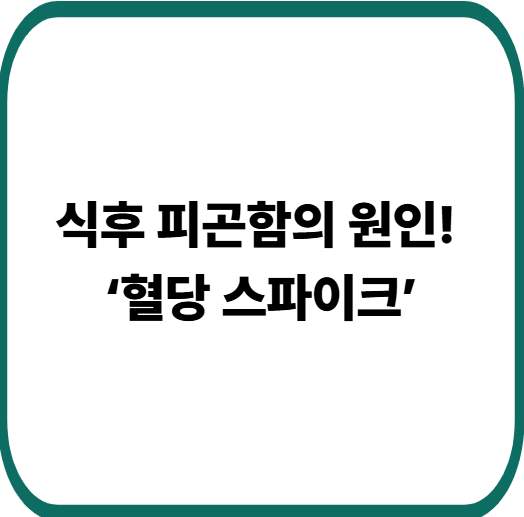 다이어트가 어려운 이유, 바로 혈당 스파이크 때문이에요
