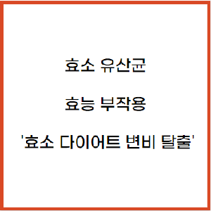 효소 유산균 효능 부작용 &#39;효소 다이어트 변비 탈출&#39;