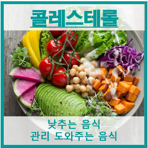 콜레스테롤 썸네일