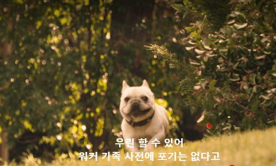 넷플릭스 패밀리 스위치