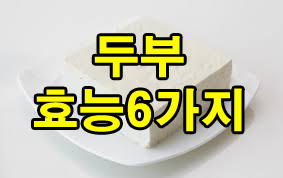 두부 효능 6가지
