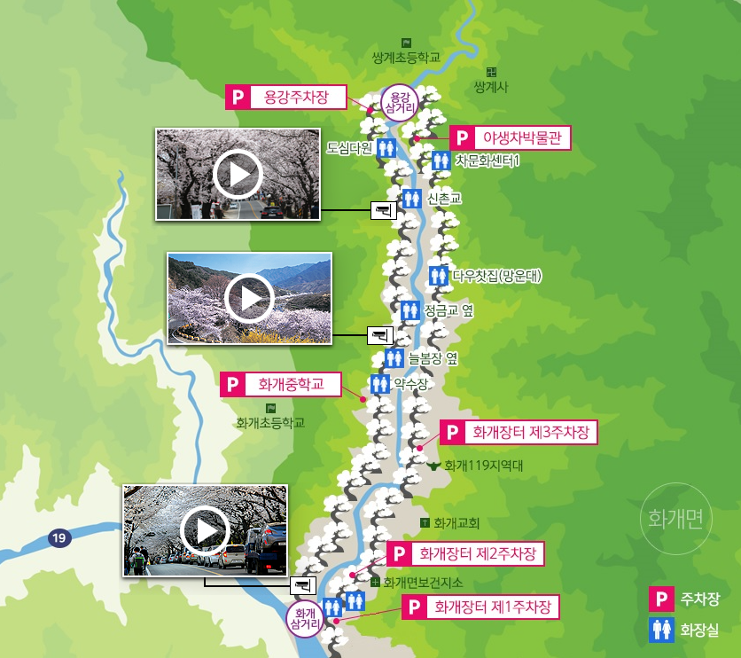 하동 쌍계사 벚꽃 축제