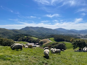 평창 대관령 목장