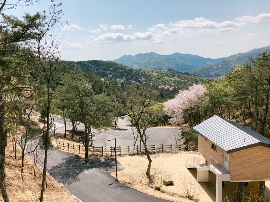 철원 두루웰 숲속문화촌