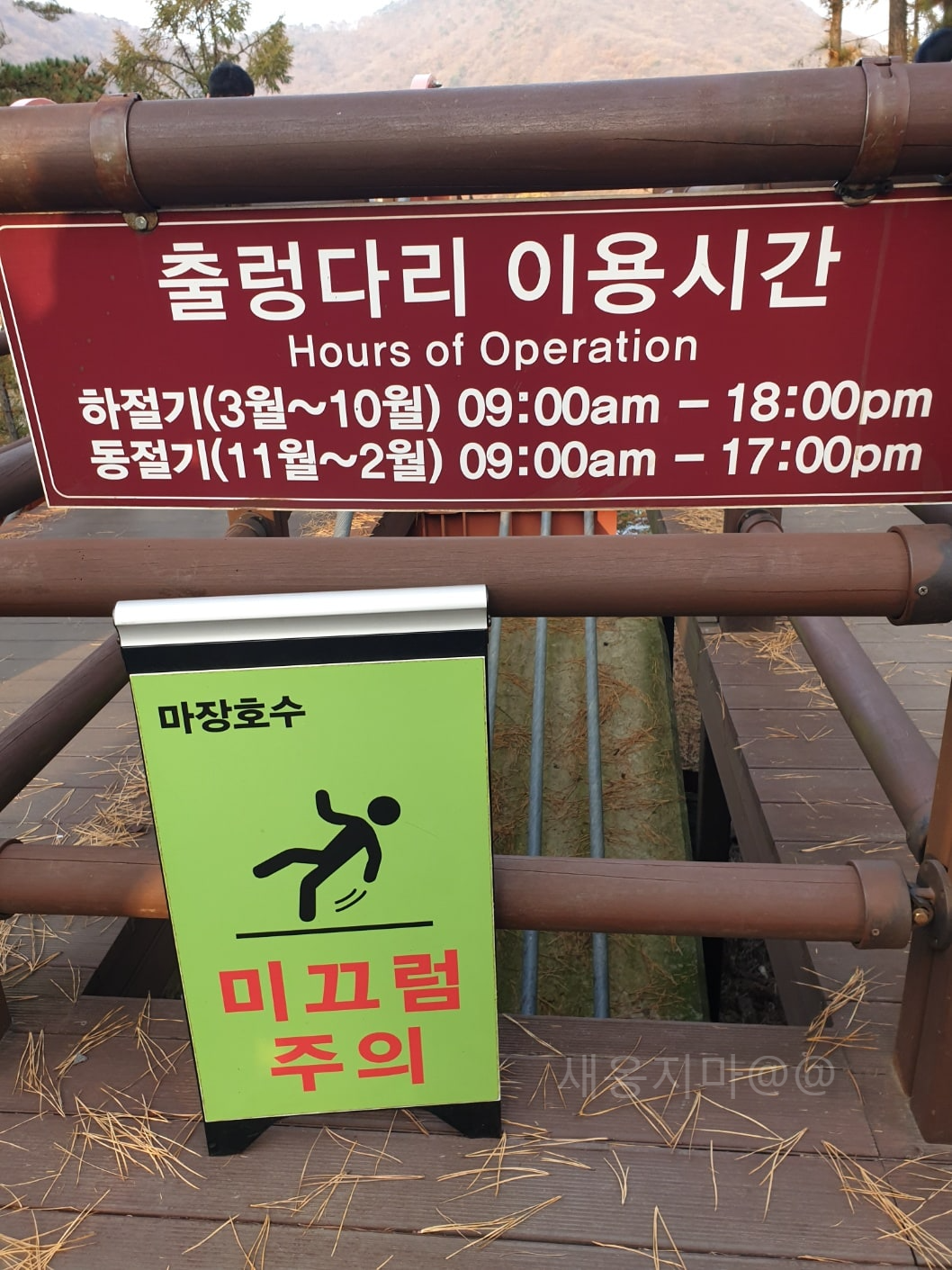 파주-출렁다리-이용시간