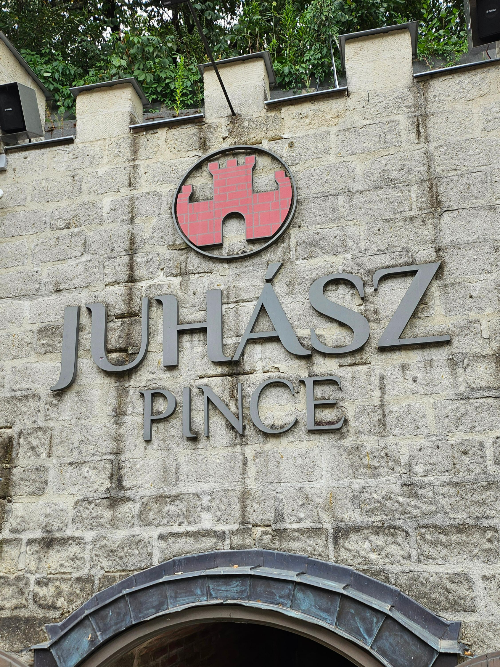 Juhász Pince (40번)