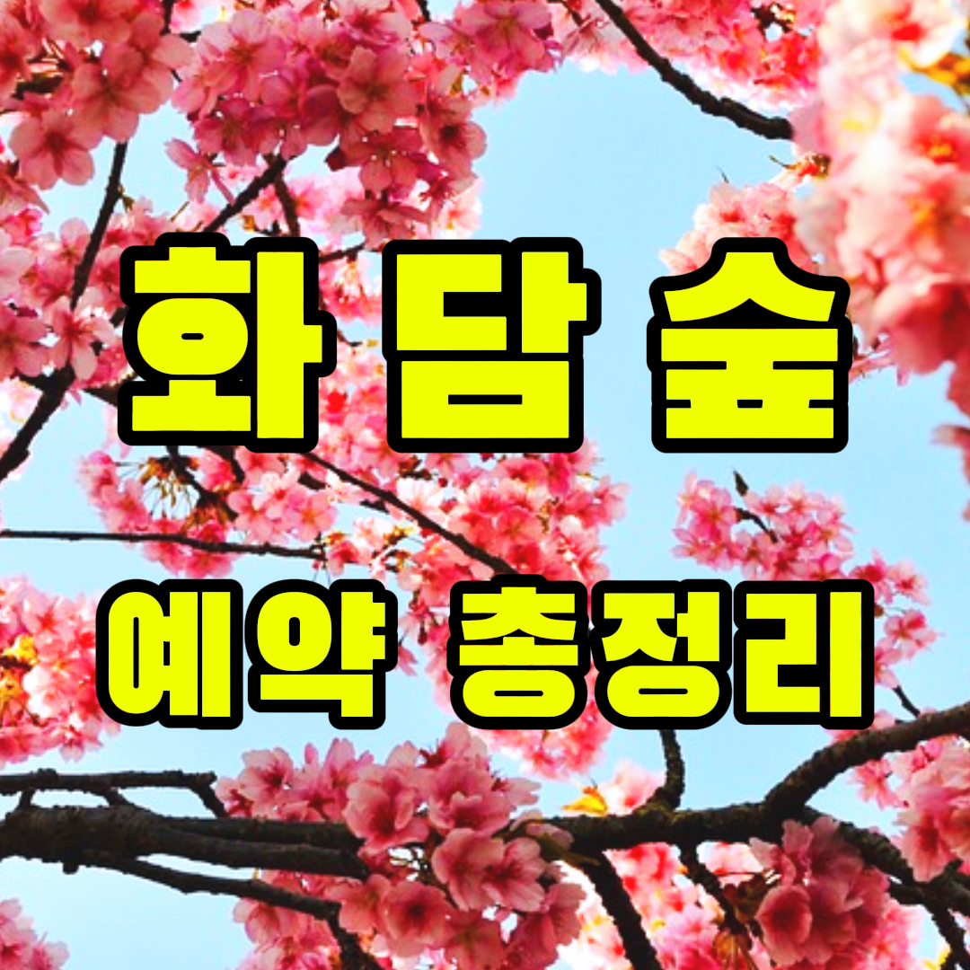 벚꽃을 배경으로 화담숲 예약, 예약방법, 모노레일, 벚꽃 개화시기 총정리라고 씌인 썸네일