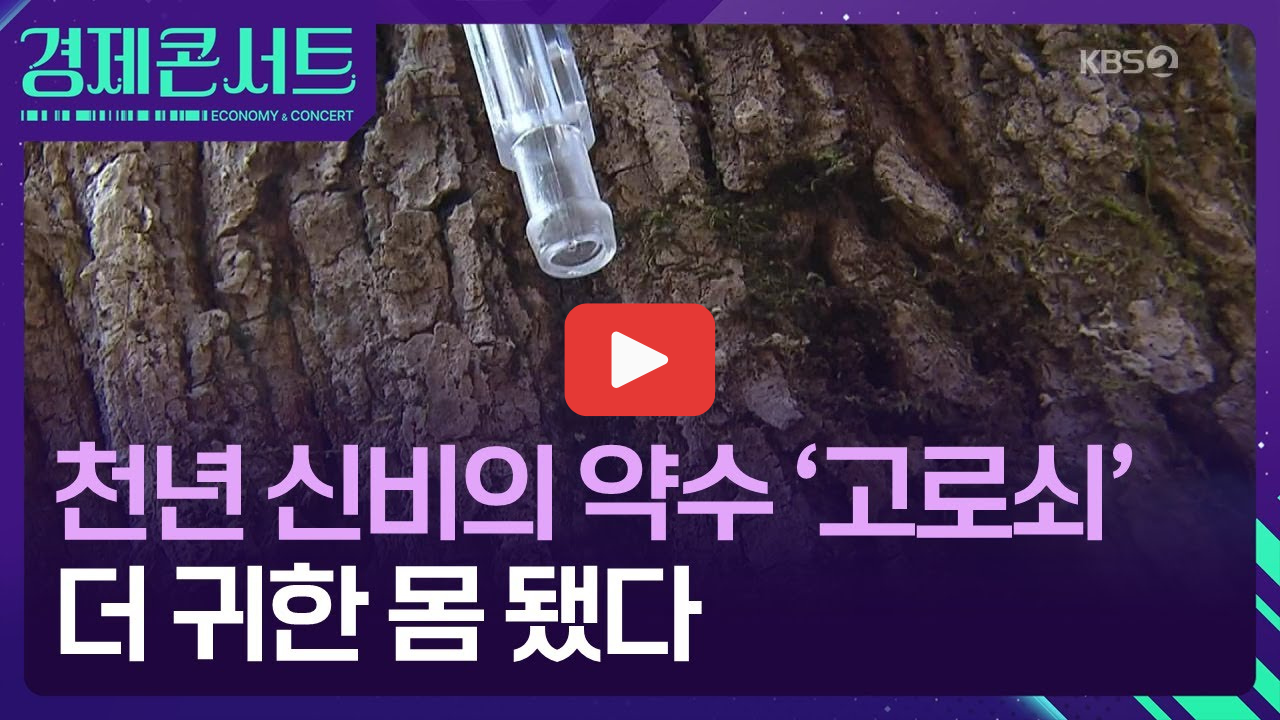 고로쇠물 천년 신비의 약수