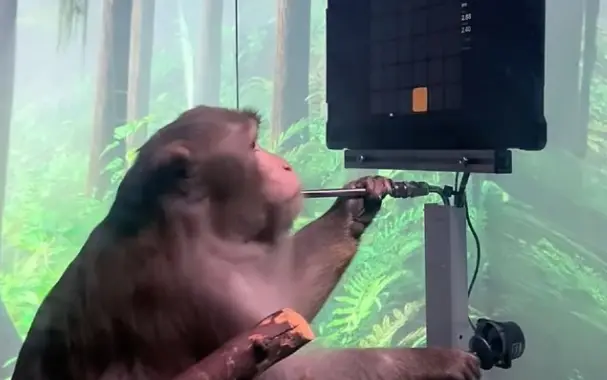 생각만으로 게임하고 있는 원숭이