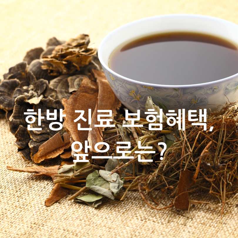 2025년 달라진 한약 첩약 건강보험 정책