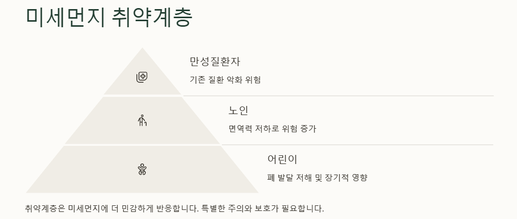 미세먼지: 환경&amp;#44; 건강(호흡기-비염&amp;#44;심혈관&amp;#44;뇌&amp;#44;면역력&amp;#44;피부&amp;#44;눈) 영향&amp;#44; 대응방안&amp;#44; 해외사례