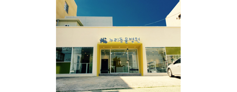 영천시 동물병원