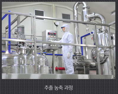 추출 농축 과정