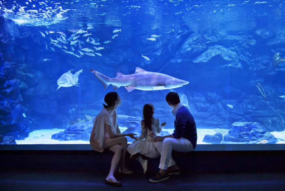 아쿠아플라넷 일산