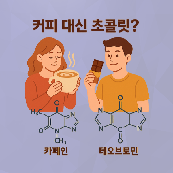 커피 대신 초콜릿? 테오브로민과 카페인의 과학적 비교