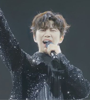 임영웅 콘서트