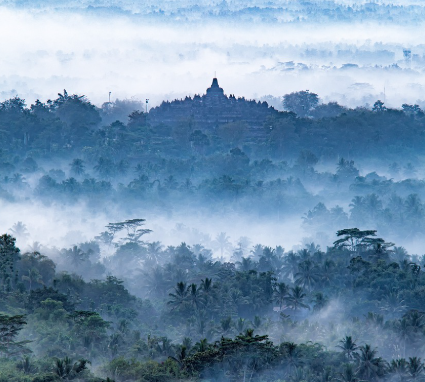 짙은 안개 속에 둘러싸인 열대 우림과 멀리 보이는 고대 사원의 실루엣