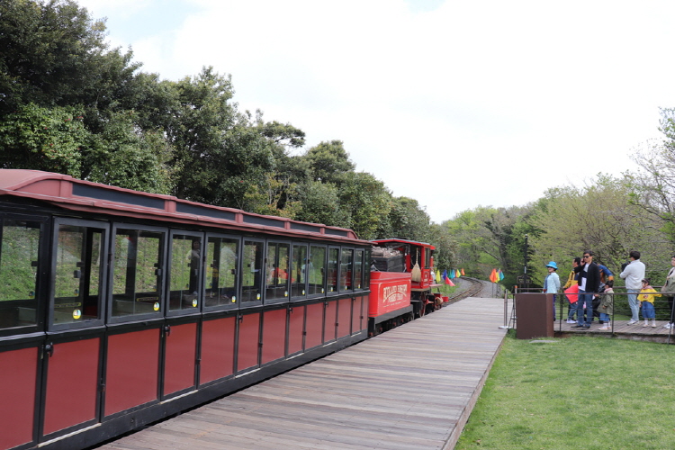 제주 에코랜드 테마파크