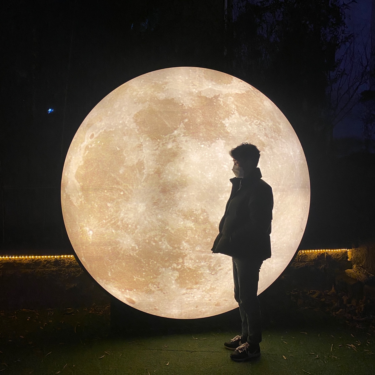 올데이크리스마스-달사진