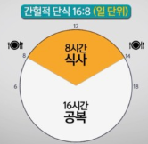 인터벌 단식(간헐적 단식)이 노화 지연에 미치는 영향과 올바른 실천법