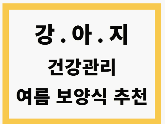 강아지 여름 보양식