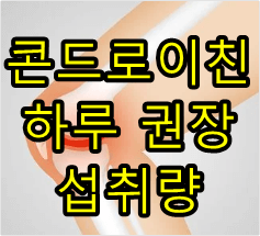 콘드로이친 하루 권장 섭취량 이것만 기억하세요