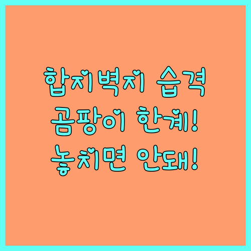 습기에 극도로 약한 종이 벽지 합지벽..