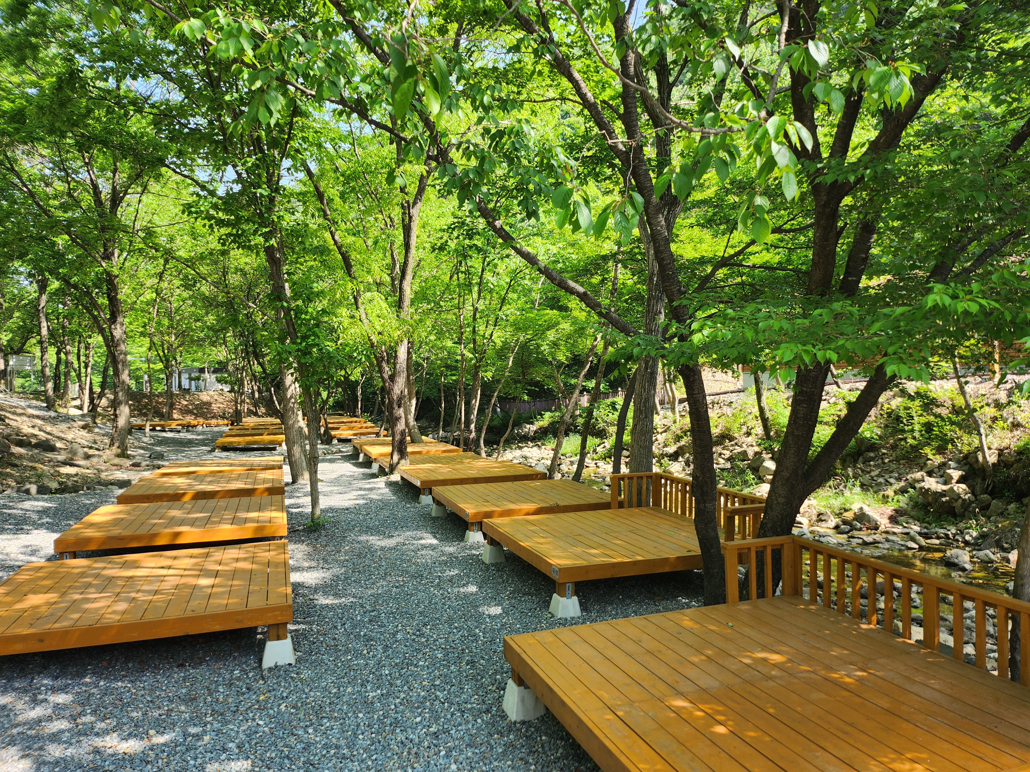 국립금산자연휴양림 사진