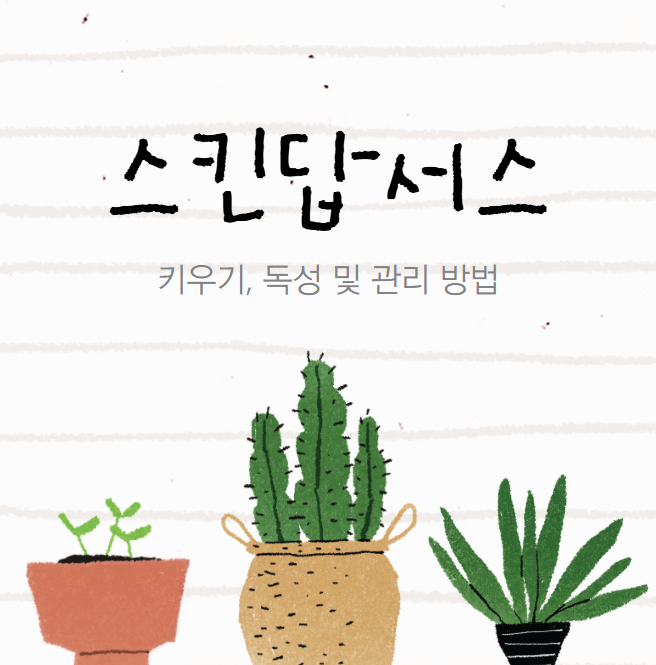 스킨답서스 키우기