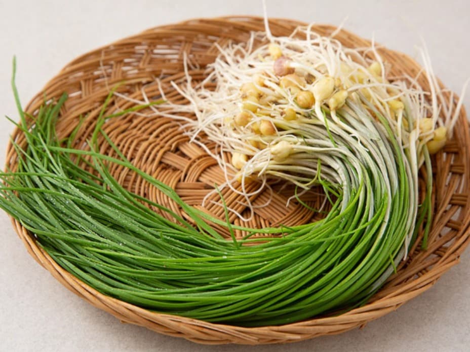 부추 vs 달래: 향긋하지만 완전히 다른 뿌리채소
