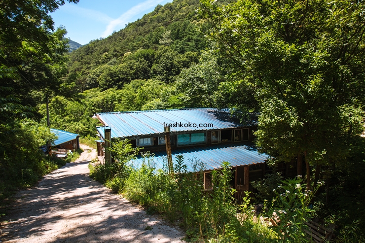 단양 가볼만한곳