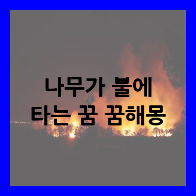 나무가 불에 타는 꿈