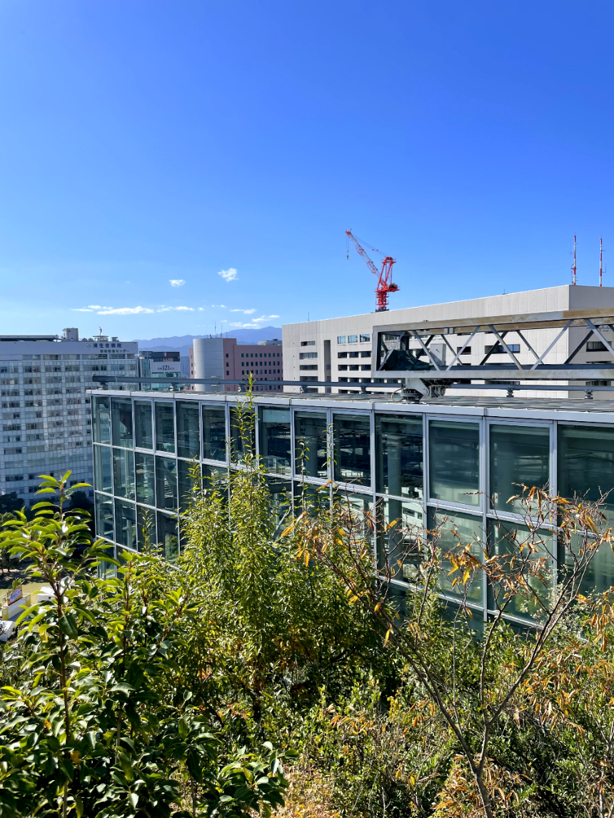 아크로스 후쿠오카 주변