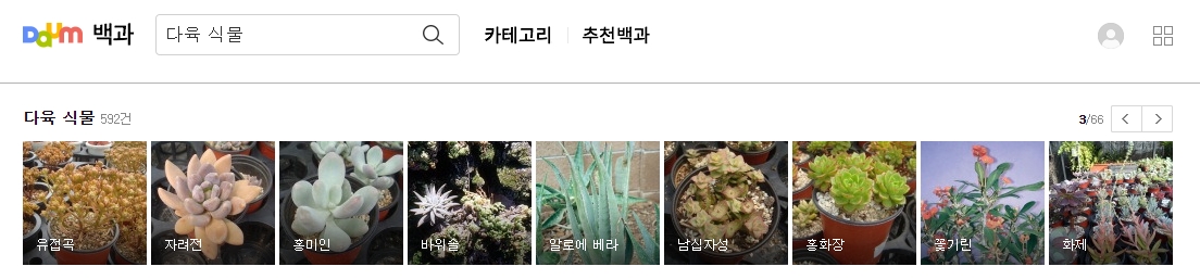 유전곽과 자련전 다육식물 사진과 이름