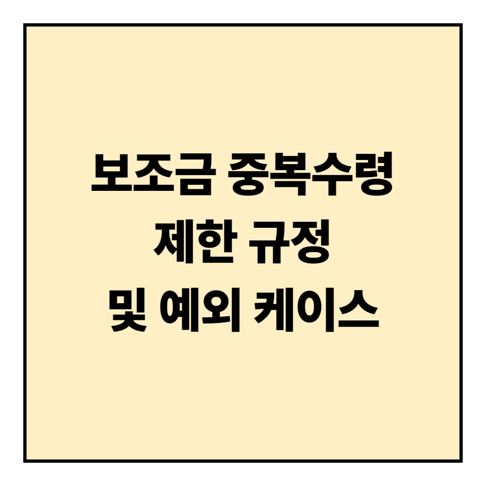 보조금 중복수령 제한 규정 및 예외 케이스