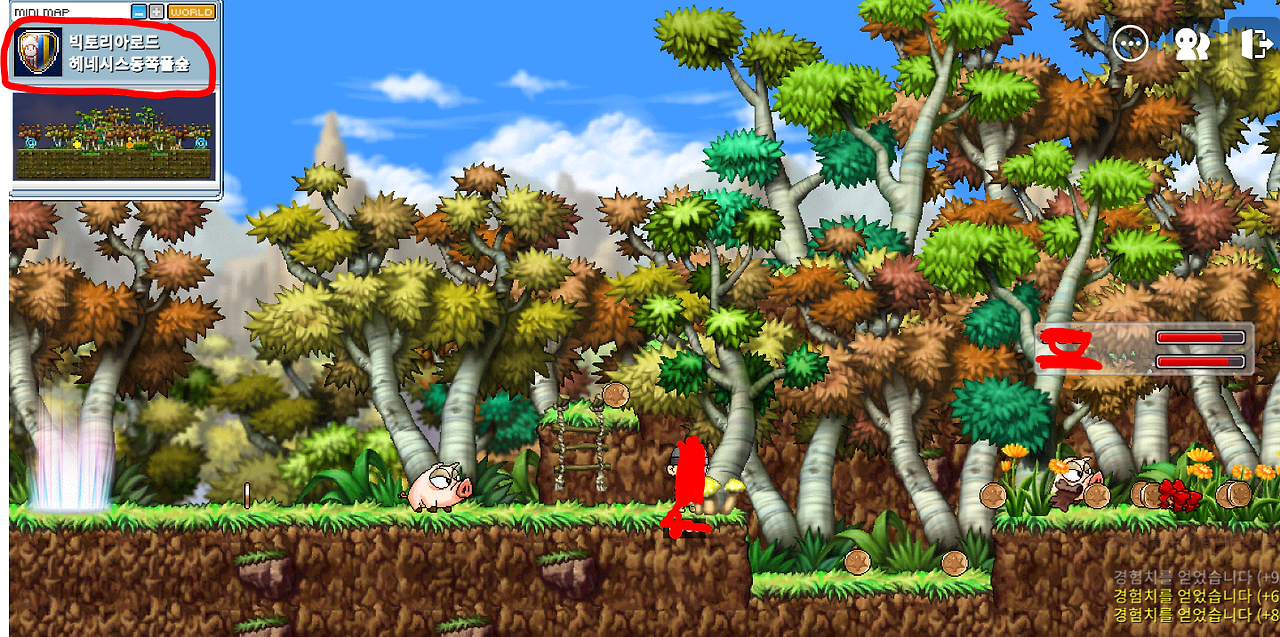 메이플랜드(메랜) 헤네시스동쪽풀숲 맵