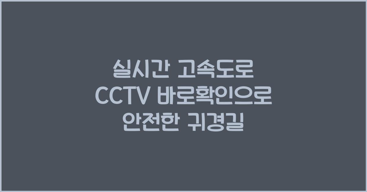실시간 고속도로 cctv 바로확인