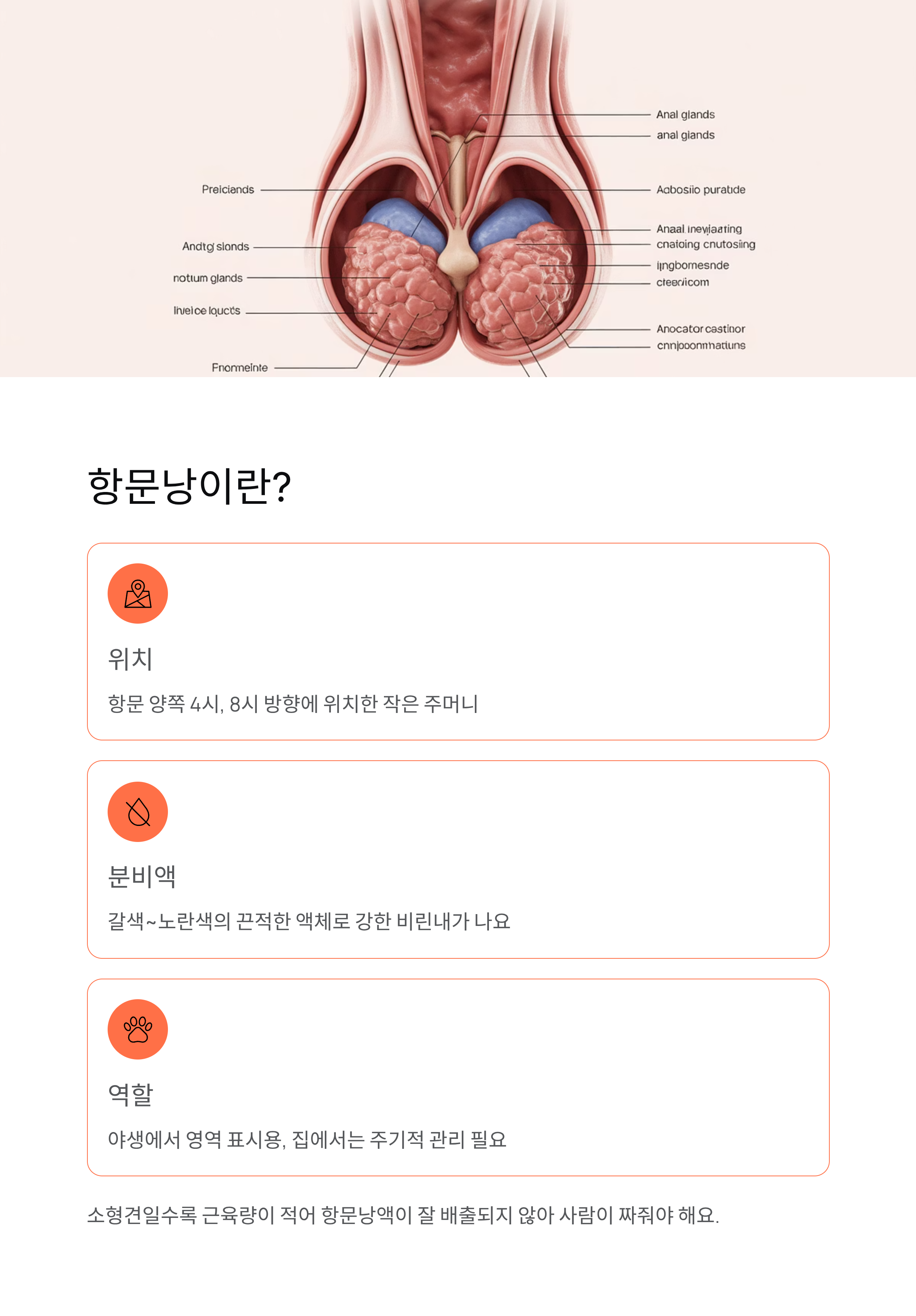 강아지 항문낭 ❘ 짜기 주기 냄새 염증 증상 집에서 짜는법 완벽 가이드