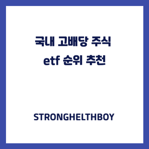 국내 고배당 주식 etf 순위 추천