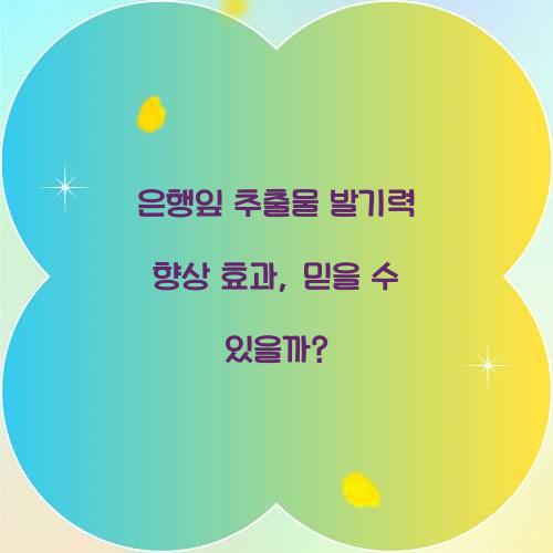 은행잎 추출물 발기력